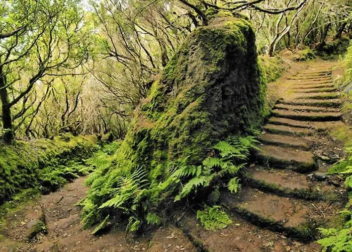 Nueva: Casa La Hondura Hébergement de vacances Las Eras (Tenerife)